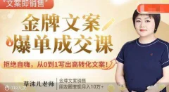 金牌文案爆单成交课,从0到1写出高转化文案