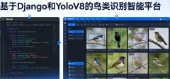 计算机视觉项目课:基于Django和YoloV8的鸟类识别智能平台
