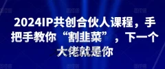 2024IP共创合伙人课程,手把手教你“割韭菜”,下一个大佬就是你