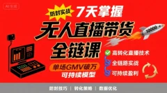 李哥·无人直播带货全链防封实战课,7天掌握高转化直播技术,实现单场GMV破万可持续模型