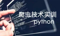 python爬虫技术实训视频教程