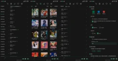 安卓洛雪音乐v1.3.0无损VIP音乐听五平台