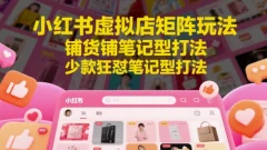小红书虚拟店矩阵玩法,铺货铺笔记型打法,少款狂怼笔记型打法(更新)