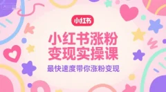 小红书涨粉变现实操课,最快速度带你涨粉变现