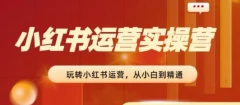 2024小红书运营实操营,从入门到精通,完成从0~1~100