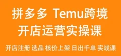 2024Temu最新玩法,Temu跨境开店运营实操课,开店注册/选品/核价上架/日出千单实战课