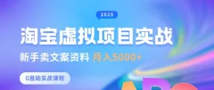 淘宝虚拟项目垂直玩法,新手卖文案资料,月入5k+