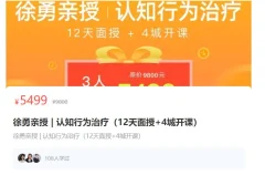 徐勇认知行为治疗(CBT)理论与技能实操网络课程 全套