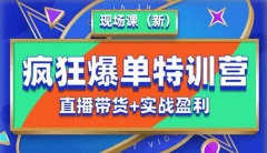 抖音短视频疯狂爆单特训营现场课(新)直播带货+实战案例