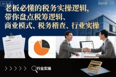 原阿里巴巴财务总监:老板必懂的税务实操逻辑,带你盘点税筹逻辑、商业模式、税务稽查、行业实操