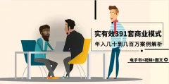 真实有效391套商业模式,年入几十到几百万案例解析(电子书+视频+图文)