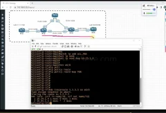 思科CCNP Enterprise实战型教程(提供实验环境及手册)