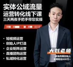 实体流量运营课,实体引流、商家加盟、暴力起号等