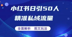 全面解析小红书图文引流日引50私域流量