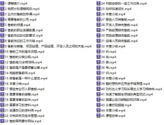 售前解决方案工程师透彻讲解视频课程 初级238元