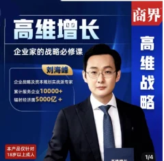 刘海峰高维增长:企业家的战略必修课_新版 (20节)
